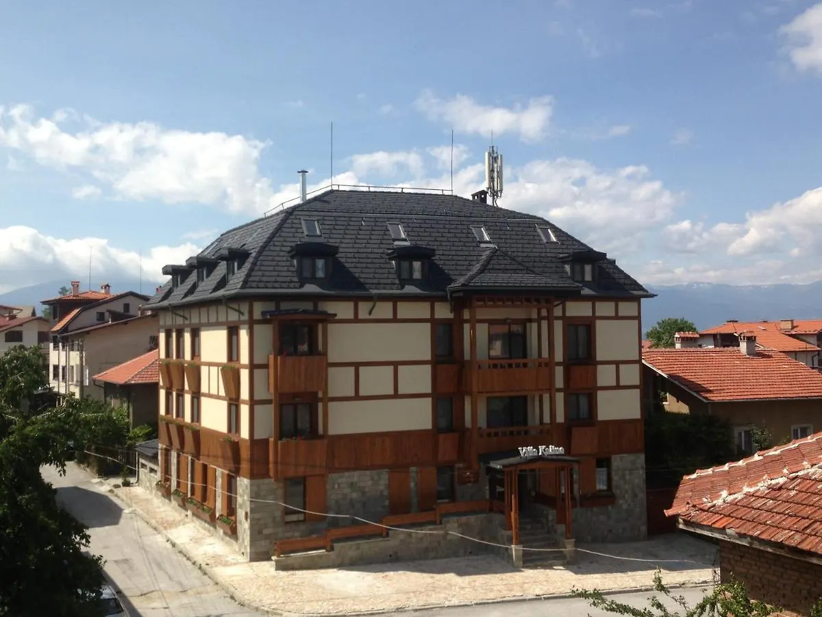Villa Kalina Bansko Guest house